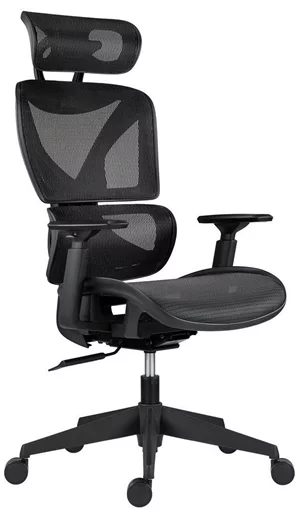 Image Fotoliu de birou ANTARES ESTER Black