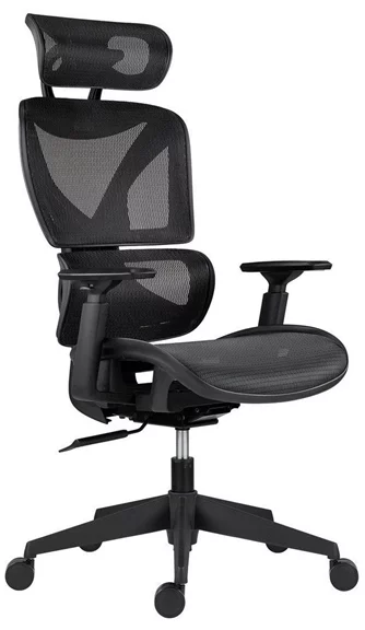 Fotoliu de birou ANTARES ESTER Black