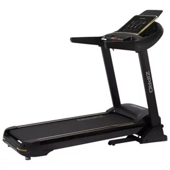Беговая дорожка Zipro Pacemaker Gold iConsole+