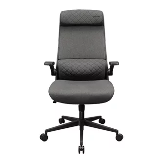 Игровое кресло Cougar Stryder, Gray