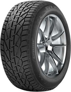 Image Шины Dunlop Winter 225/45 R18 95V