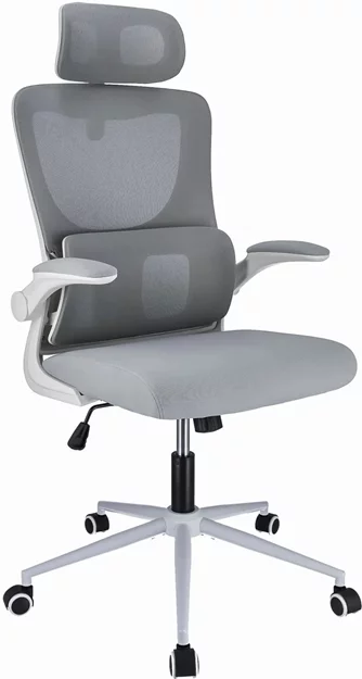Fotoliu de birou Jumi Zeo CM-249875, Grey/White