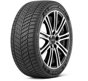 Image Шины Roadx Rxfrost Wu02 255/45 R20 105T XL