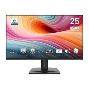 Image Monitor MSI PRO MP251L-E2