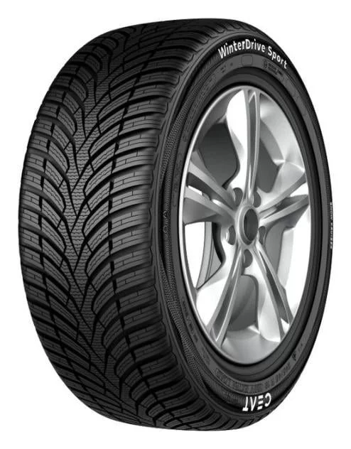 Шины FORTUNA GOWIN VAN 195/75R16C 107R