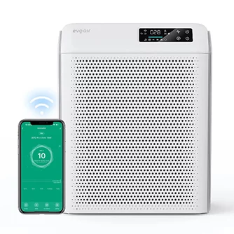Осушитель воздуха Evoair HOMI P300