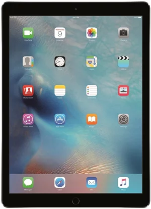 Image iPad Pro 12.9 Wi-Fi 128Gb Space Gray