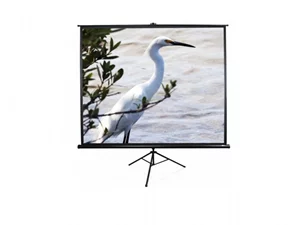 Image Проекционный экран Lumi PDB120 Tripod 120" (183x244)