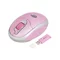 Image Беспроводной комплект клавиатура + мышь G-Cube GRKST-520C Travel Tini USB Pink