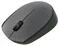 Image Компьютерная мышь Logitech M170 Grey