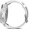 Image GARMIN fenix 5S Slate Silver