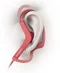 Image Căști Sony Sport MDR-AS210AP Pink