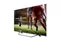 Image ТЕЛЕВИЗОР Hisense 55A7400F