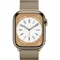 Image Ceas Apple Watch Series 8 41mm MNJE3 GPS + LTE Gold S. Steel