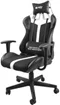 Image Scaun gaming Fury Avenger XL White/Black