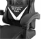 Image Игровое кресло Fury Avenger L Black/White