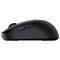 Image Mouse Dell Pro MS5120W Black
