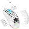 Image Mouse Aqirys T.G.A. White