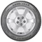 Image Шины Goodyear EfficientGrip Perform 225/55 R16 95V