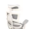 Image Fotoliu de birou DP CM-B137AW-4 Grey/White