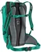 Image Рюкзак Deuter Race X Fern-Graphite