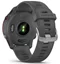 Image Умные часы Garmin Forerunner 255 Slate Grey (010-02641-10)