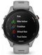 Image Умные часы Garmin Forerunner 255S Powder Grey