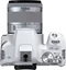 Фотоаппарат Canon EOS 250D + EF-S 18-55 IS White