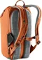 Image Рюкзак Deuter Stepout 16 Chestnut, Ivy