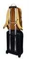 Image Рюкзак Thule EnRoute 23L Ochre Golden