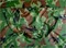 Image Палатка Malatec 00010140-IS Camouflage