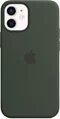Image Чехол Original iPhone 12/12 Pro Silicone Case with MagSafe Cypress Green