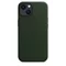 Image Чехол Original iPhone 13 Leather Case with MagSafe Sequoia Green