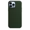 Image Чехол Original iPhone 13 Pro Max Leather Case with MagSafe Sequoia Green