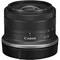 Aparat foto Canon EOS R100 & RF-S 18-45mm f/4.5-6.3 IS STM & RF-S 55-210mm Black