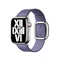 Image Ремешок Apple Watch 41mm Wisteria Modern Buckle Small