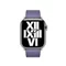 Image Ремешок Apple Watch 41mm Wisteria Modern Buckle Small