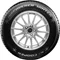 Image Шины Cooper Discoverer Winter 225/55 R17 101V