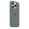 Image Чехол Original iPhone 15 Pro Silicone Case with MagSafe Cypress