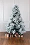 Image Brad de craciun Collection Mont Blanc 4.5 m