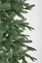Image Елка Collection Grand Elite Premium 3.0 м