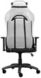 Image Игровое кресло Trust GXT 714W Ruya - Black/White