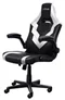 Image Игровое кресло Trust GXT 703W RIYE Black/White