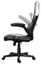 Image Игровое кресло Trust GXT 703W RIYE Black/White