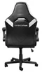 Image Игровое кресло Trust GXT 703W RIYE Black/White