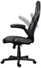 Image Игровое кресло Trust GXT 703 RIYE Black