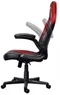 Image Scaun gaming Trust GXT 703R RIYE Black/Red