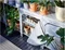Image Стеллаж Ikea Hyllis для дома/улицы 60x27x74 Нержавеющая Сталь
