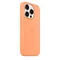 Image Чехол Original iPhone 15 Pro Silicone Case Orange Sorbet