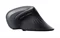 Image Mouse Trust Verro Black